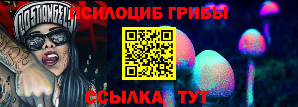 Галлюциногенные грибы Psilocybine cubensis Рославль