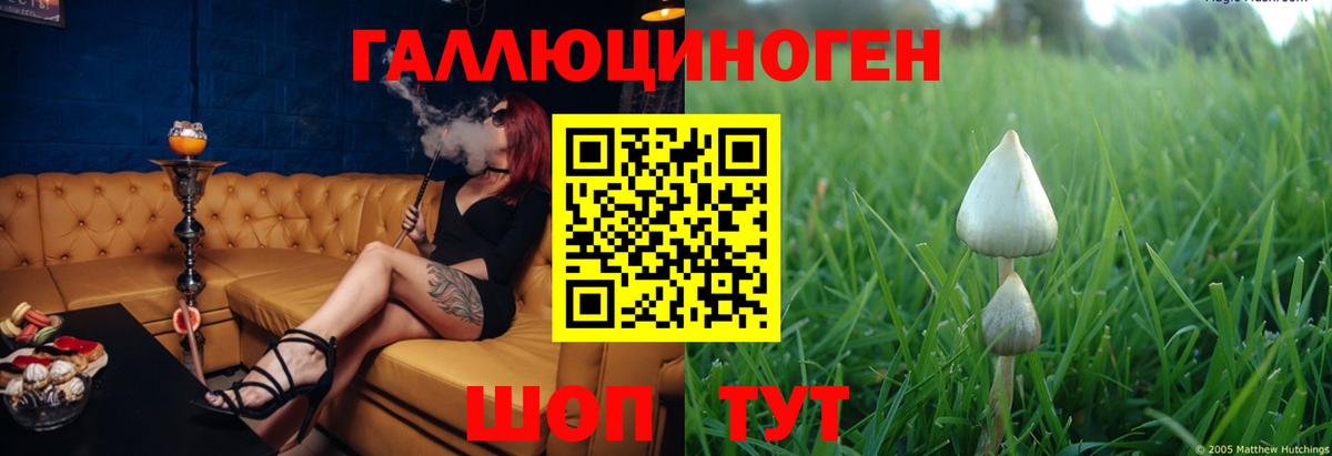 Рославль  Псилоцибиновые грибы Psilocybine cubensis  Вход с VPN  Псилоцибиновые грибы Cubensis 
